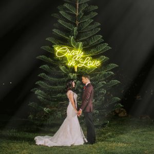 Crazy in Love Neon Sign